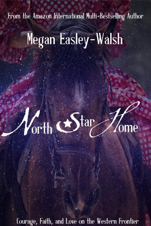North-Star-Home-Cover