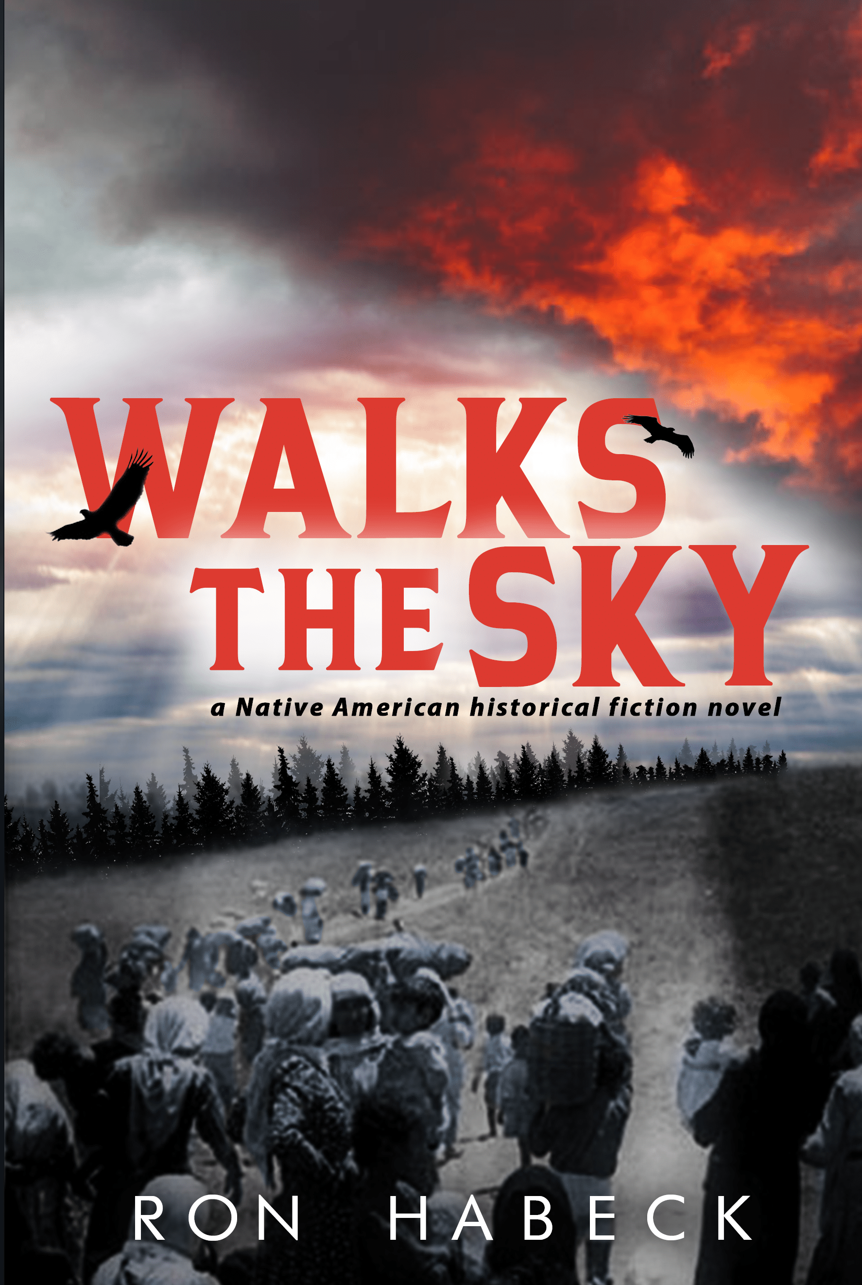 Ron-Walks-The-Sky-3