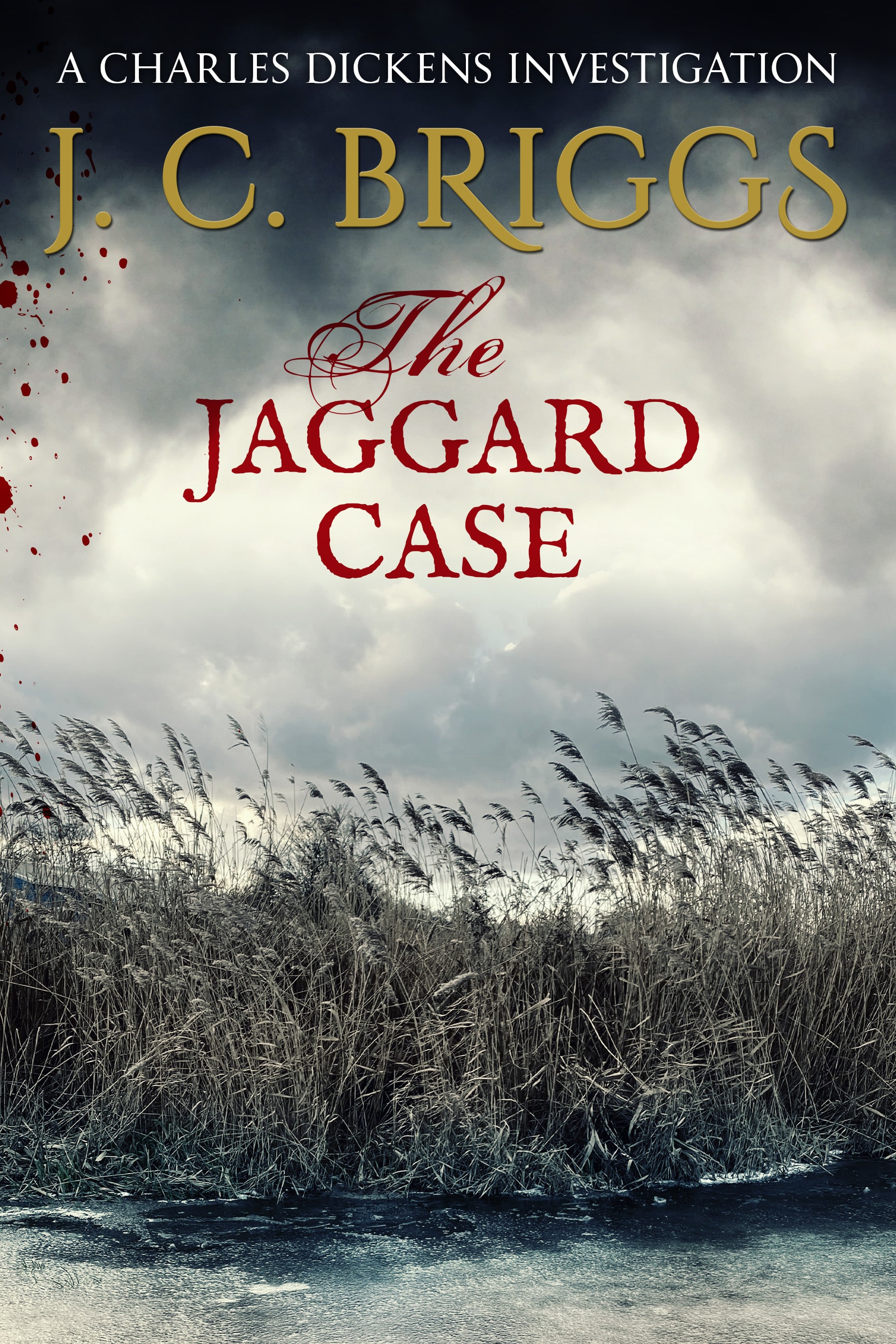 jaggard-case (1)